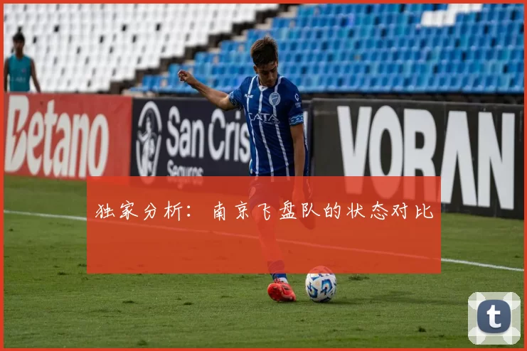 独家分析：南京飞盘队的状态对比