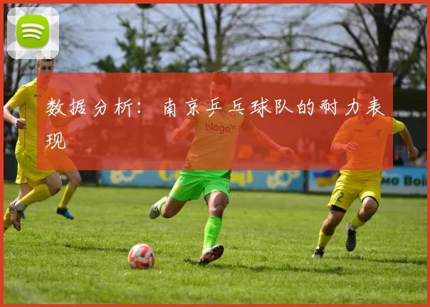 数据分析：南京乒乓球队的耐力表现