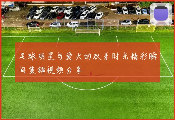 足球明星与爱犬的欢乐时光精彩瞬间集锦视频分享