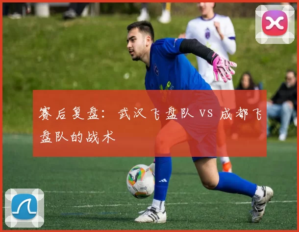 赛后复盘：武汉飞盘队 vs 成都飞盘队的战术