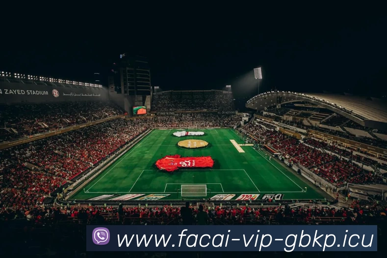 星空体育平台生态图