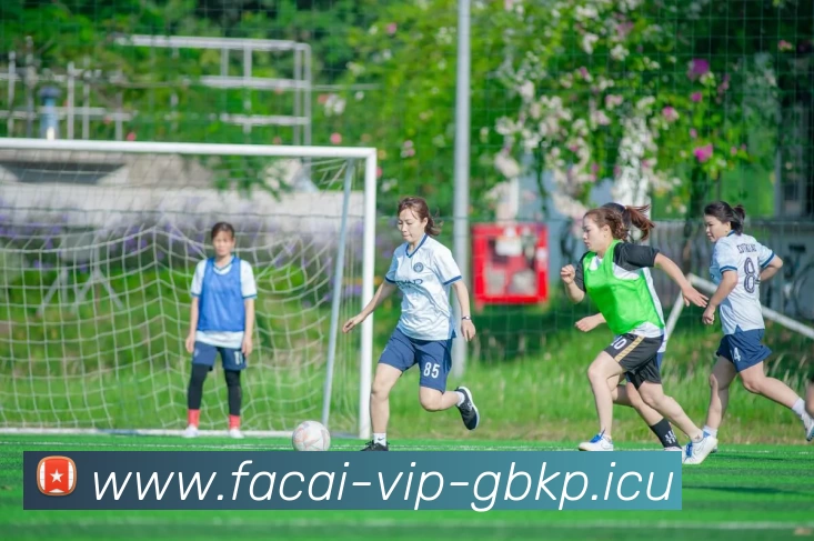 星空体育全站App